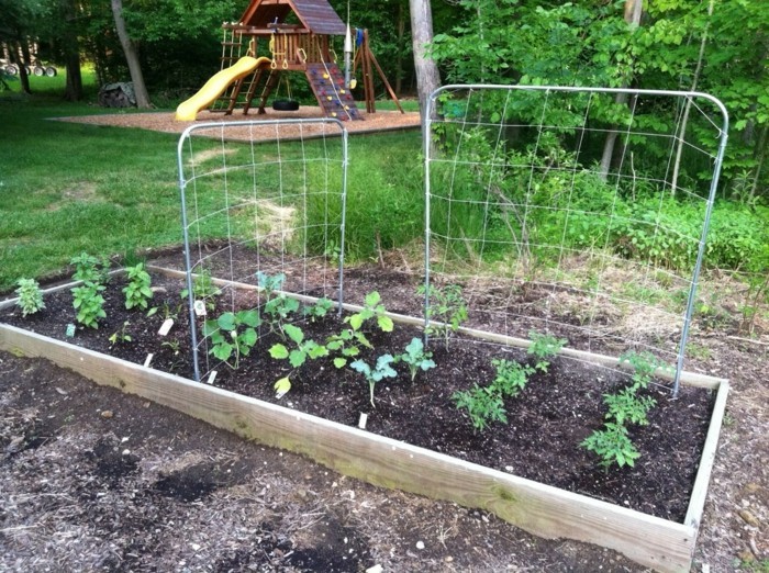 természetes összefonódások a kártevők ellen