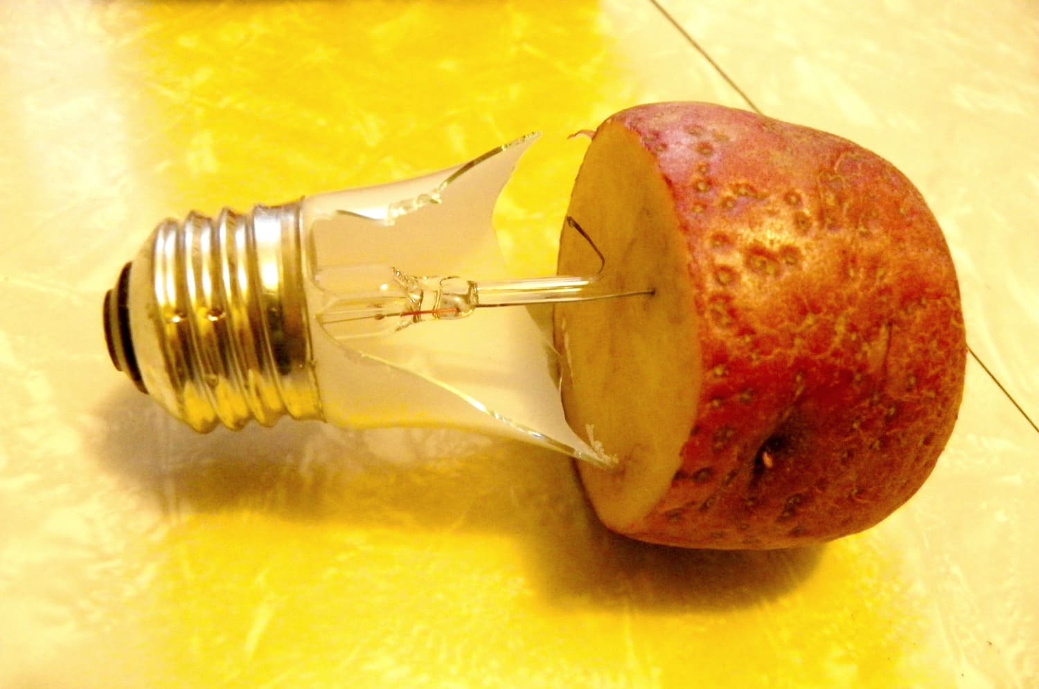 lamp