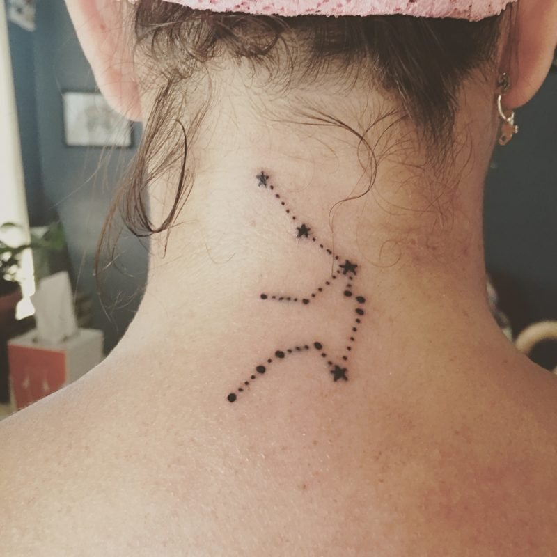 állatöv jel vízöntő jellemzői Vízöntő