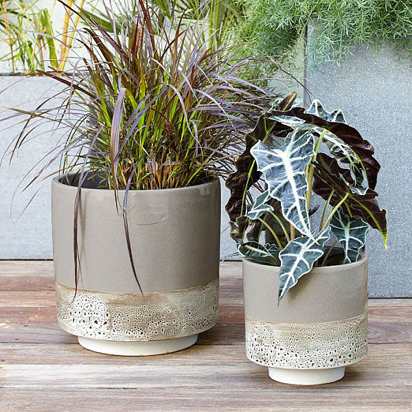 posaditi nevjerojatna nalazišta