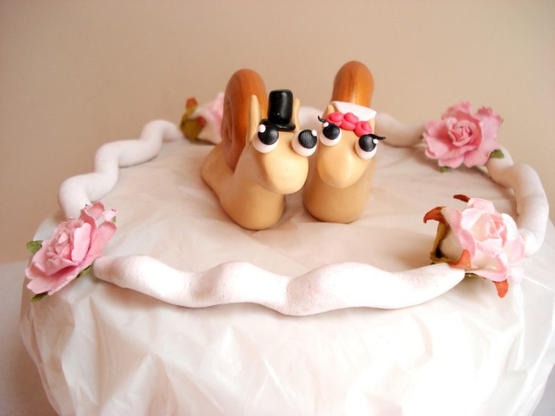 vicces sütemények kedves