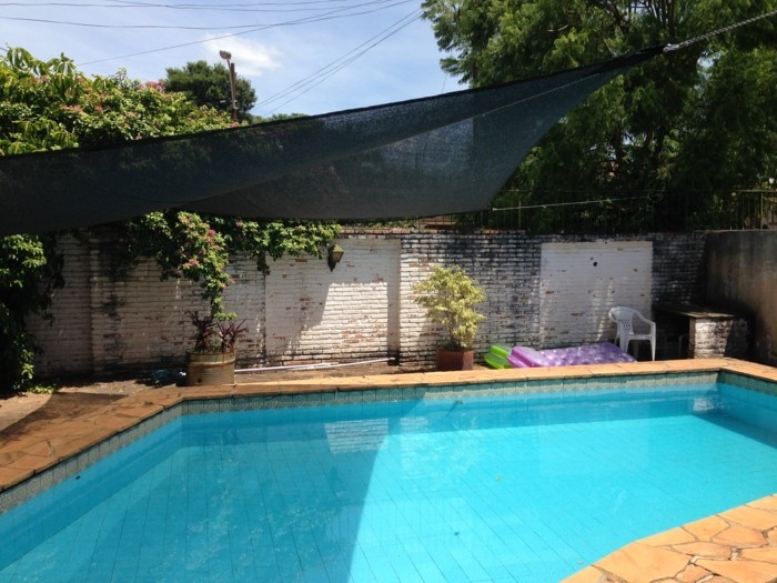 drveće djelomično zasjenjeno od sunca