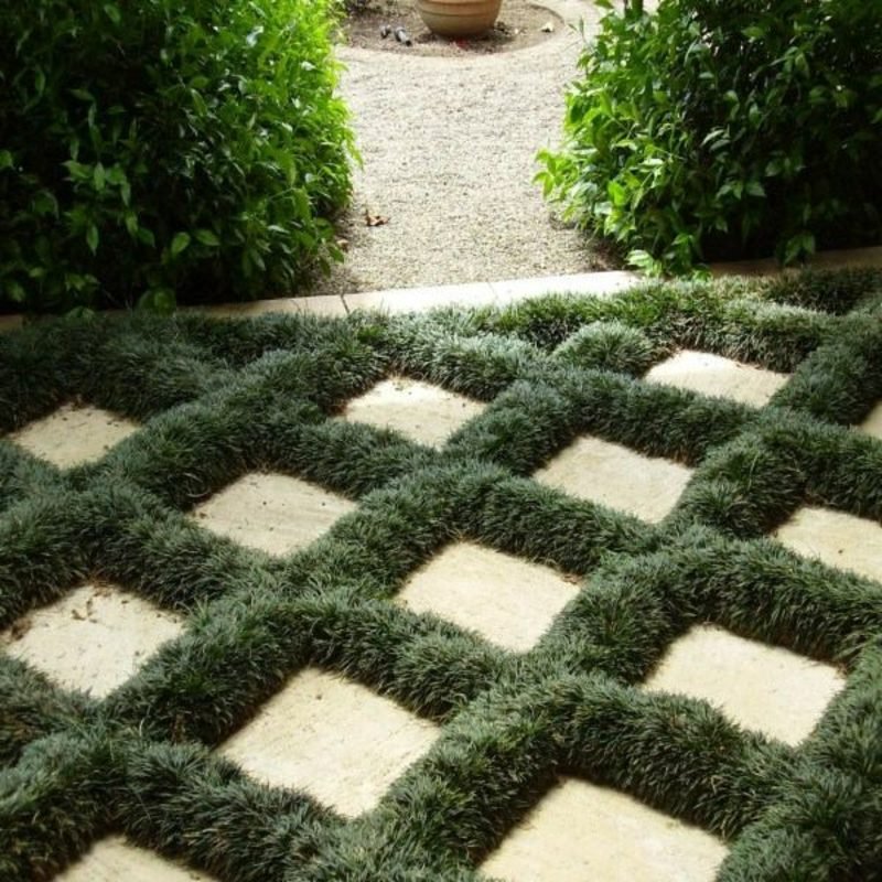 design da giardino originale barba di serpente giapponese piante da ombra dal design creativo del giardino