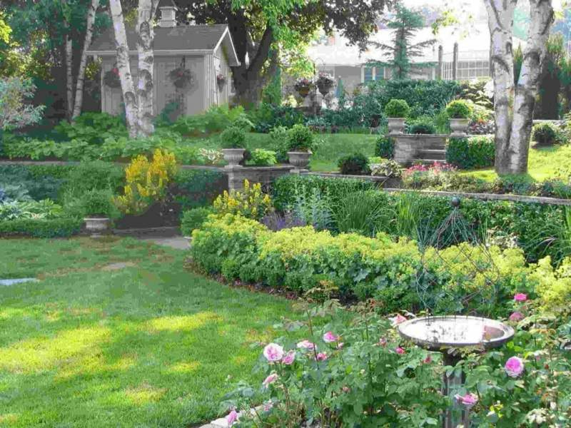 corretta progettazione del giardino specie di piante che amano l'ombra interesting