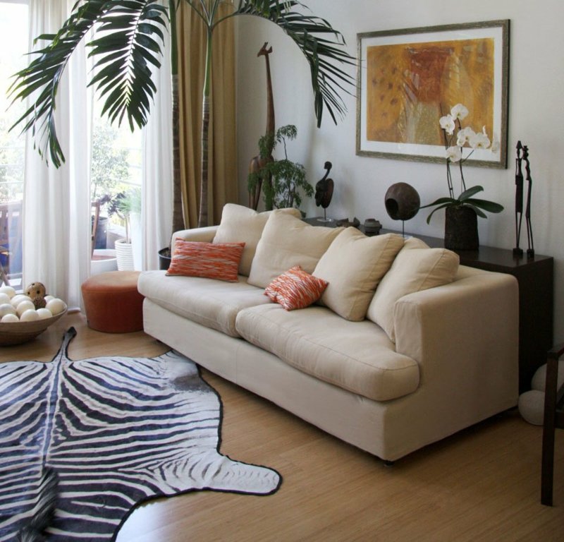 afrička ukrasna palma ukrasni tepih