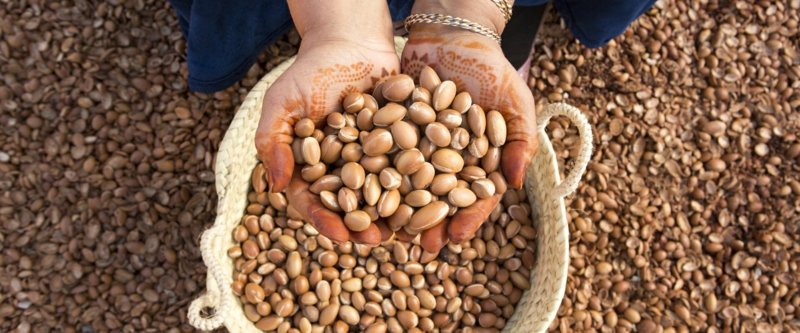 Noix de fabrication d'huile d'argan