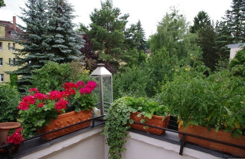 Design del balcone con le piante le migliori idee