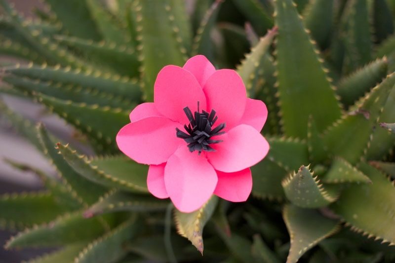 Come puoi fare un bel fiore? armeggiare fiori fiori di carta armeggiare idee istruzioni armeggiare fiore armeggiare