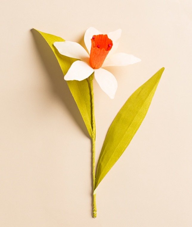 narciso fatto da sé armeggiare fiori fiori di carta armeggiare idee istruzioni armeggiare fiore armeggiare