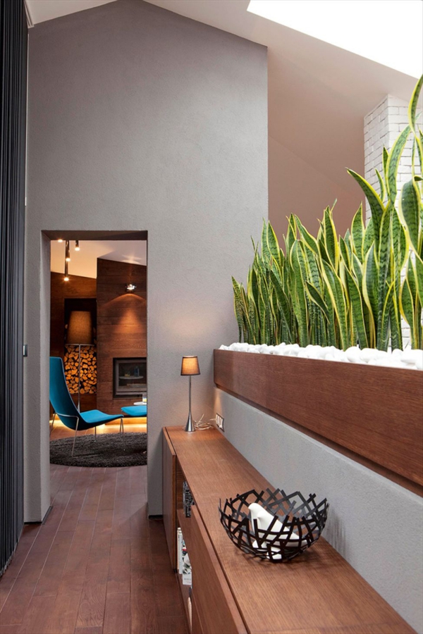 Bow entretien du chanvre protection de la vue protection contre le bruit idées de protection contre le vent Entretien du chanvre et faits intéressants sur la plante d'intérieur à la mode sensevieria sur l'écran de confidentialité du balcon