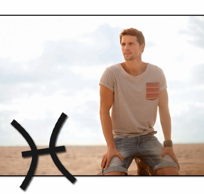 horoscope chinois 2017 zodiaque toutes les prédictions du zodiaque prédictions nouvel an coq de feu rouge