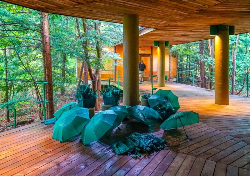 Fallingwater House belles photos Images terrasse Fallingwater House