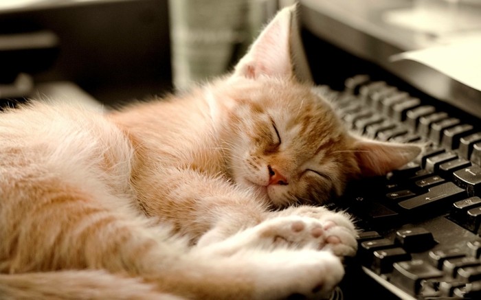 stresszcsökkentés helyes alvási helyzet egészséges alvás stresszkezelési tippek egészséges alvás