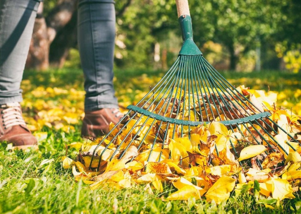 Vrtni alati skupljaju lišće u vrtu vrtni alati ideje za njegu vrta prekrasan vrtni dizajn