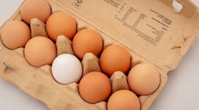 a likőrhöz csak friss tojást használjon Receptek tojással