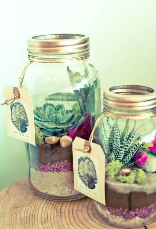 Vaso succulente in vasetti di vetro