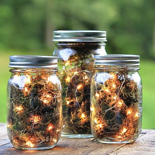 Lattine di vetro di luci a LED