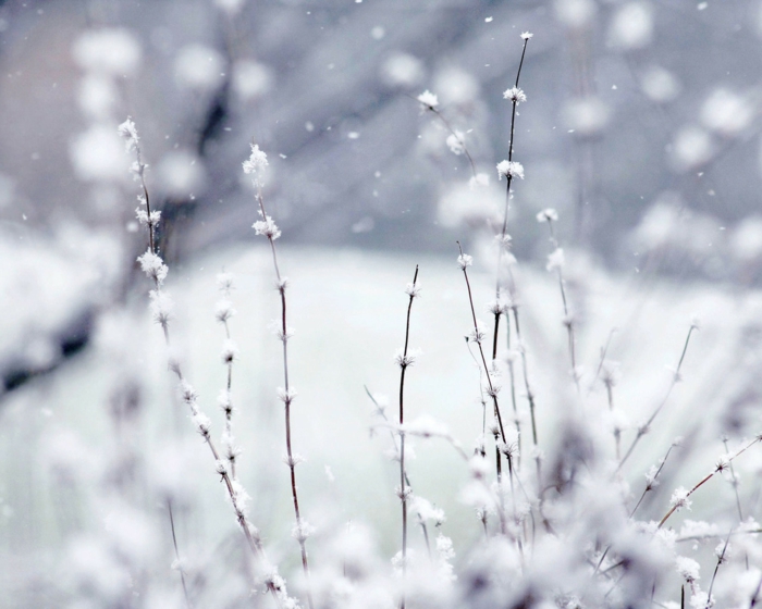 théorie des couleurs couleur blanche signification de la couleur