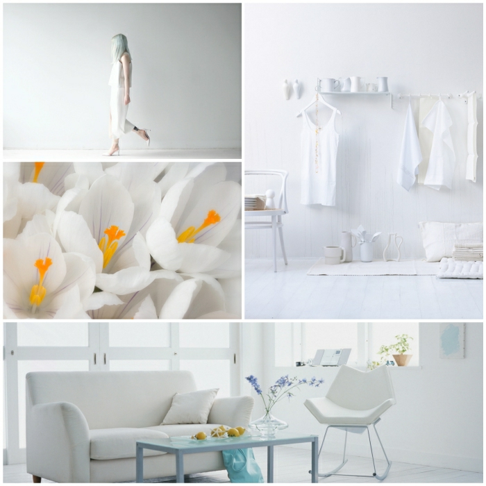 théorie des couleurs sens des couleurs couleur blanc