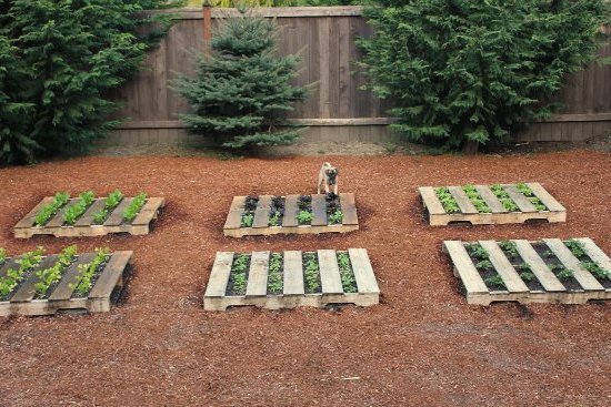 Que pouvez-vous créer à partir de palettes ? meubles de jardin de palettes palettes meubles de jardin meubles de palettes de jardin meubles euroapletten fauteuil de jardin instructions