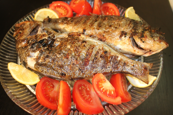 Service de vaisselle nourriture pour poissons