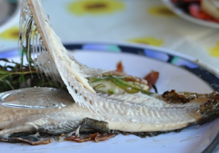 Service de vaisselle assiette couteau fourchette