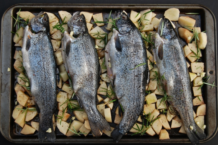Service de vaisselle assiette à poisson couteau poisson