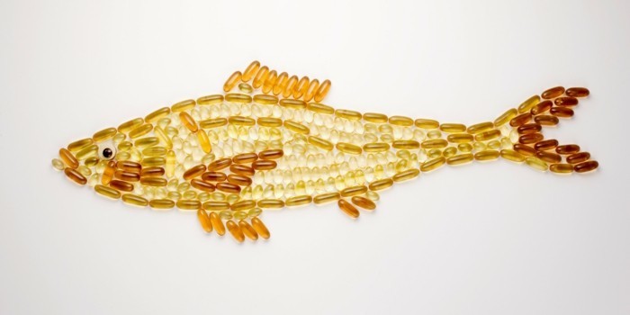 graisses animales huile saine