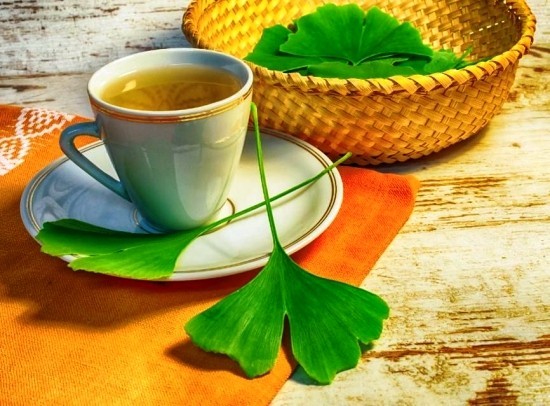 A ginkgo fa bonsai -ként való megőrzése és az élő fosszilis ginkgo biloba tea üdvözlése egészséges emlékezet