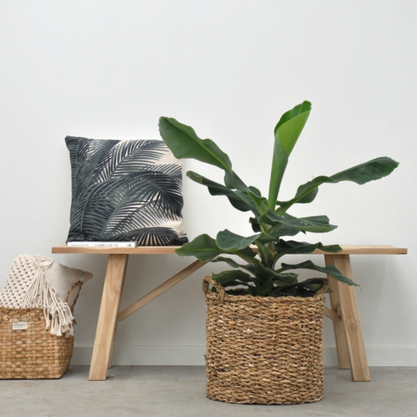 biljke s velikim lišćem ukrasne ideje za dekoraciju banana dnevna soba