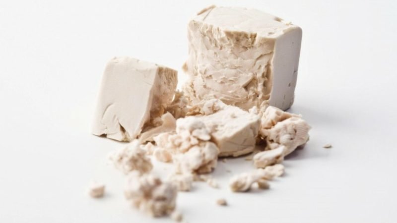 Az élesztő vitaminokat tartalmaz, amelyek stimulálják a haj növekedését Készítse el az élesztős vegán hajkezelést