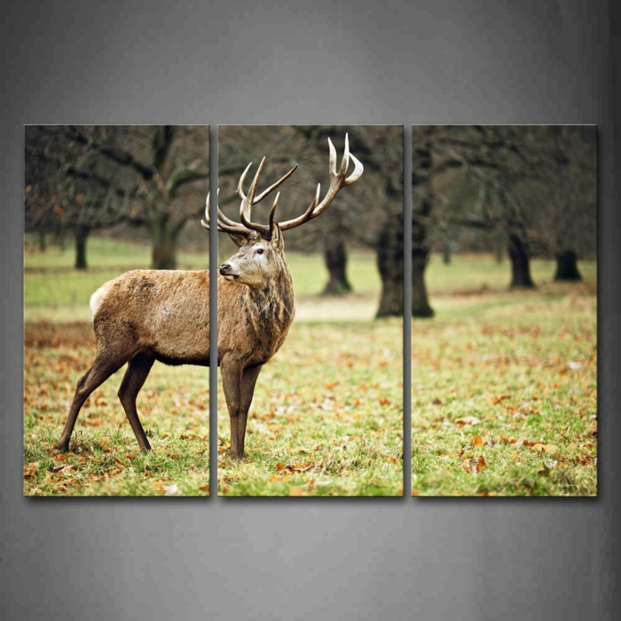 un cerf sur la murale décoration murale tête de cerf bois de cerf décoration décoration bois