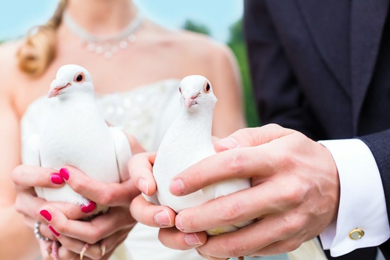 bei detti amore matrimonio