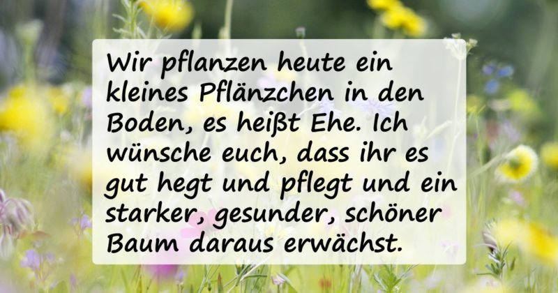 Scrivi la carta di matrimonio