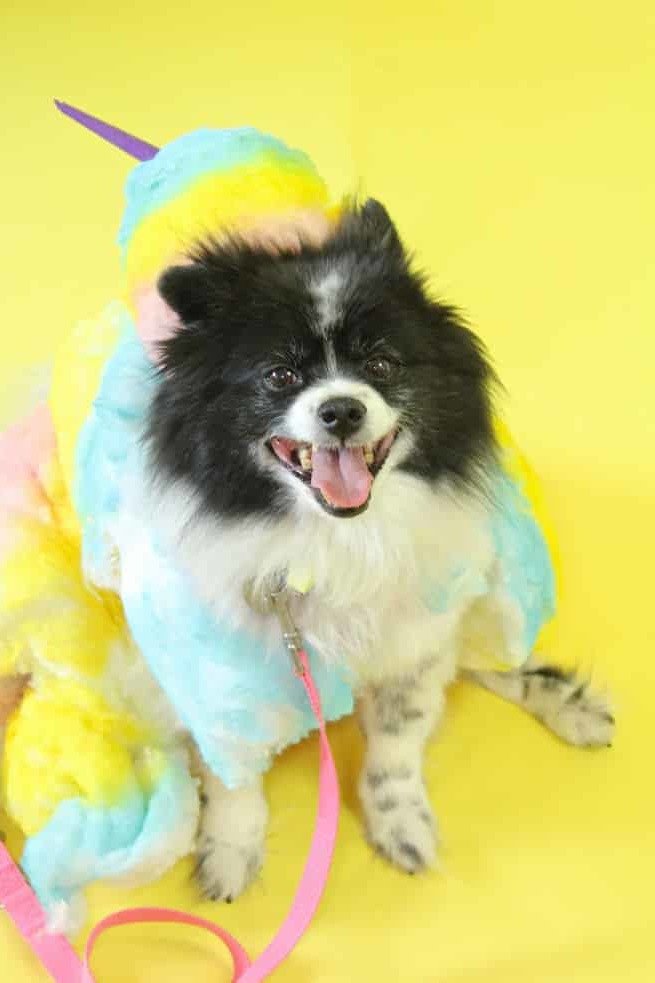 Domaći kostimi za Noć vještica Domaći kostimi za Noć vještica