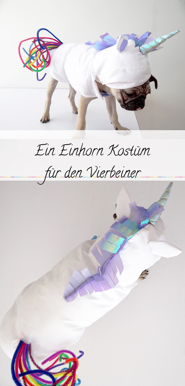 DIY kostim jednoroga za malog psa