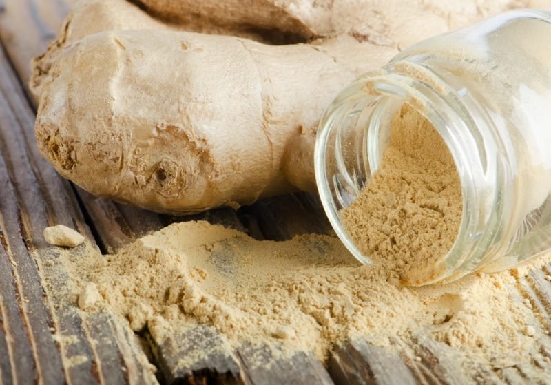 Posadite rizome đumbira u lonac gastrointestinalna tužba biljke đumbira
