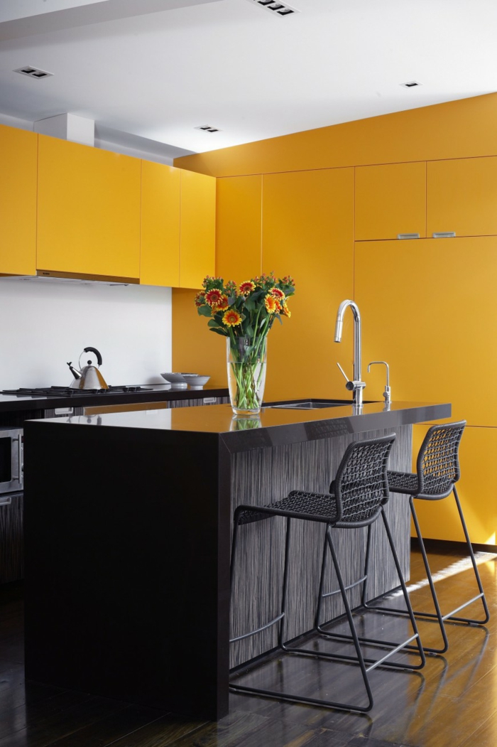 meubles de cuisine en noir design de cuisine idées de design d'intérieur design de couleur