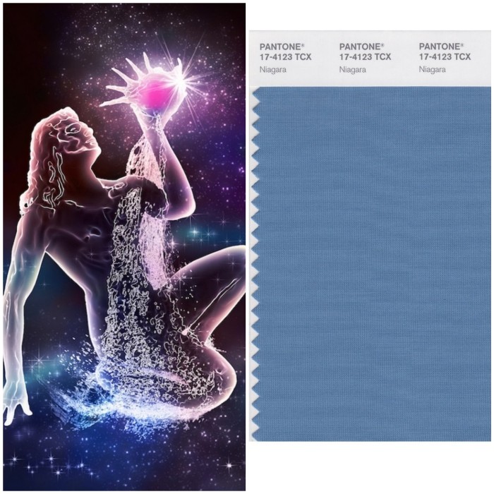 horoszkóp 2017 Vízöntő jel