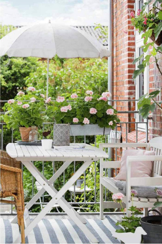 Geranium op het balkon