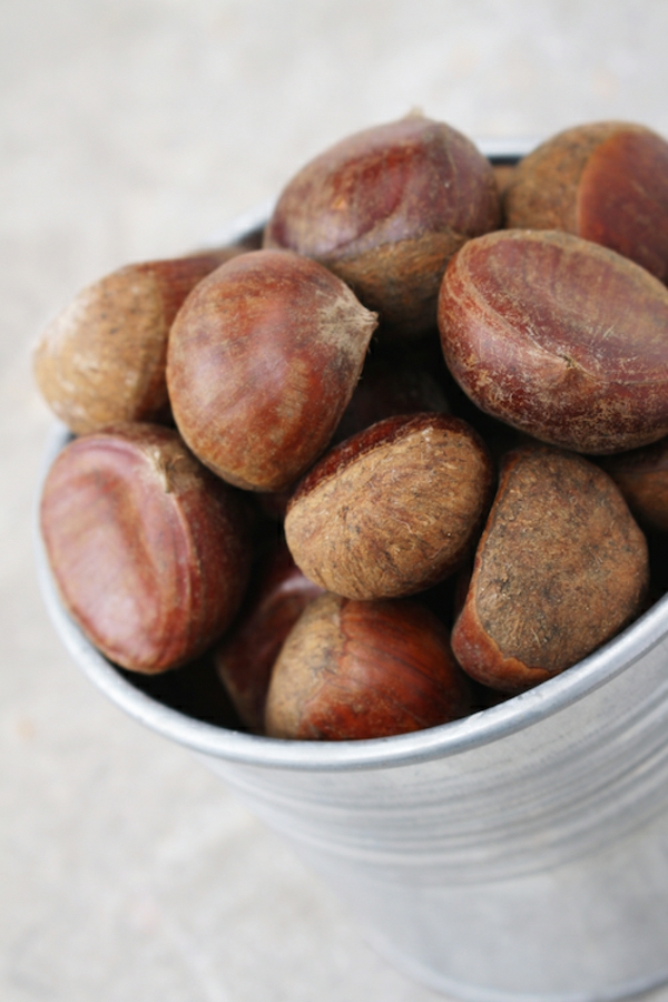 gesztenye dekoráció ehető gesztenye őszi dió