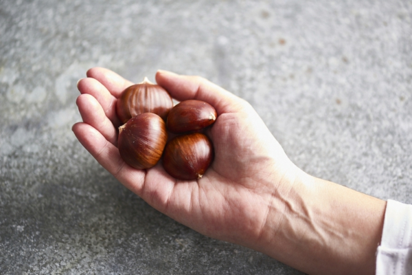 Gesztenye Gesztenyegyűjtés a háztartásban hasznos ötletek