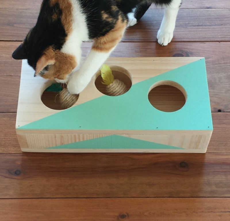 the Igračke za mačke sami napravite drvenim kutijskim mišem