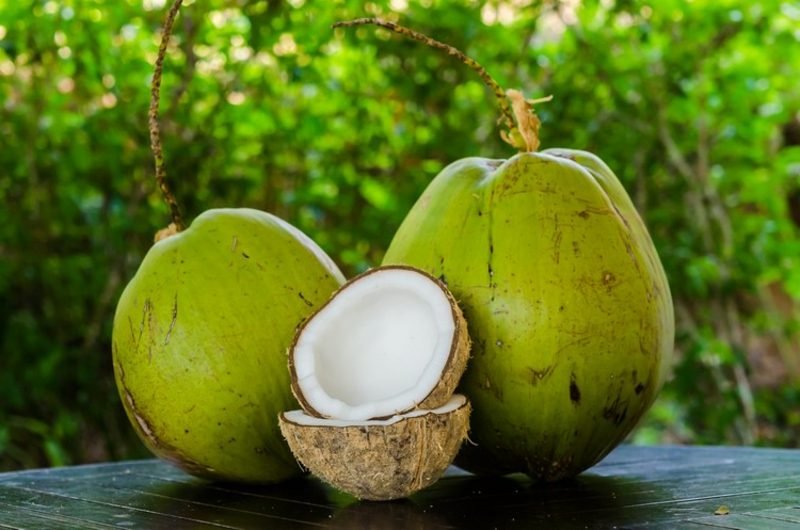 Kókusztej egészséges trendi ital