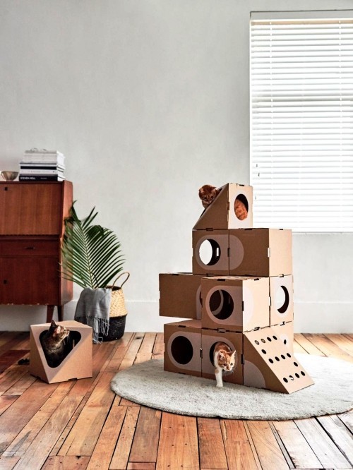 Könnyen és kreatívan készítsen vakaróoszlopokat macskák számára. Palota kartondobozból Könnyen és kreatívan készítsen karcoló oszlopokat a macskák számára