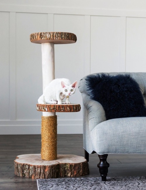 Könnyű és kreatív kaparóoszlopok macskáknak építs magadnak természetes fából készült torony fehér aranyos macskát A macskák számára készült egyszerű és kreatív kaparóoszlopok természetes fából és modern kötélből mászófává varázsolják magukat