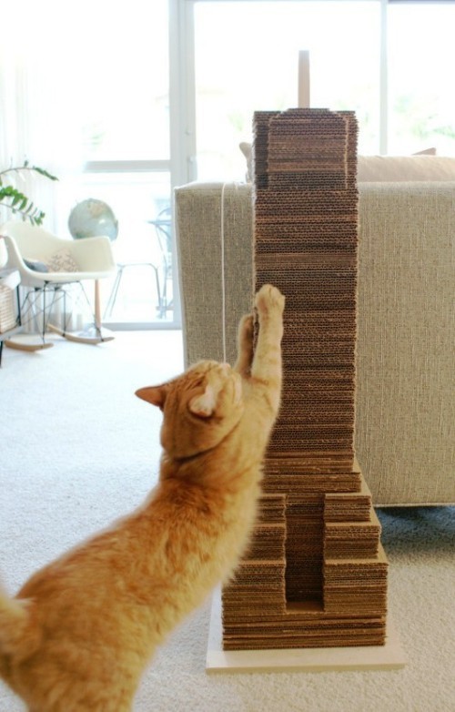Könnyű és kreatív kaparóoszlopok macskáknak építs fel magadnak felhőkarcoló karcolóoszlopokat kartonból Egyszerű és kreatív kaparóoszlopok macskáknak, saját kezűleg. A felhőkarcoló oszlopok kartonból készülnek