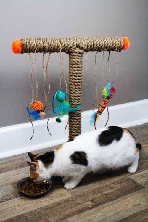 A macskák számára készült egyszerű és kreatív kaparóoszlopok macskává varázsolják magukat, ha játszanak és motiválják őket finom ételekkel Könnyen és kreatívan készítsen vakaróoszlopokat macskáknak egy T alakú kúszó fa kötéljátékban