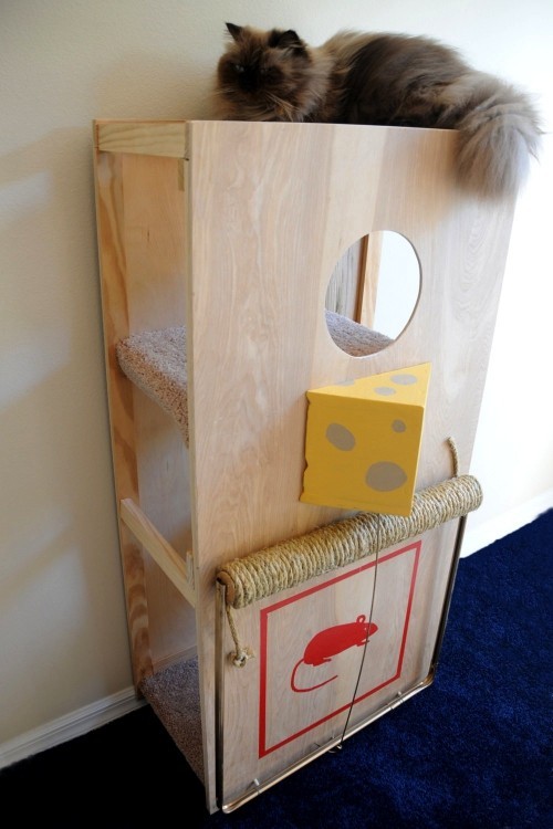 Könnyű és kreatív kaparóoszlopok macskáknak építsenek maguknak egérfogó alagút játékállomást Könnyen és kreatívan építhet karcoló oszlopokat macskáknak egérfogó alagút macska torony