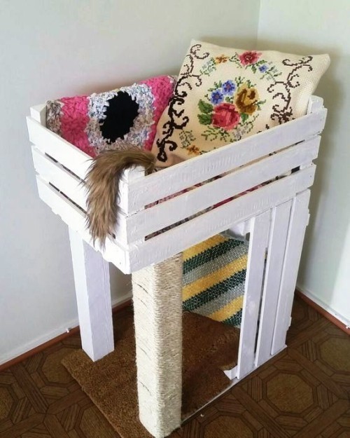 Könnyen és kreatívan készítsen vakaróoszlopokat a macskák számára, és frissítse fel a régi fadobozokat Könnyű és kreatív kaparóoszlopok macskáknak, hogy saját ágyukat és kaparóoszlopot építsenek régi fadobozokból